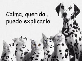 Todo puede explicarse...